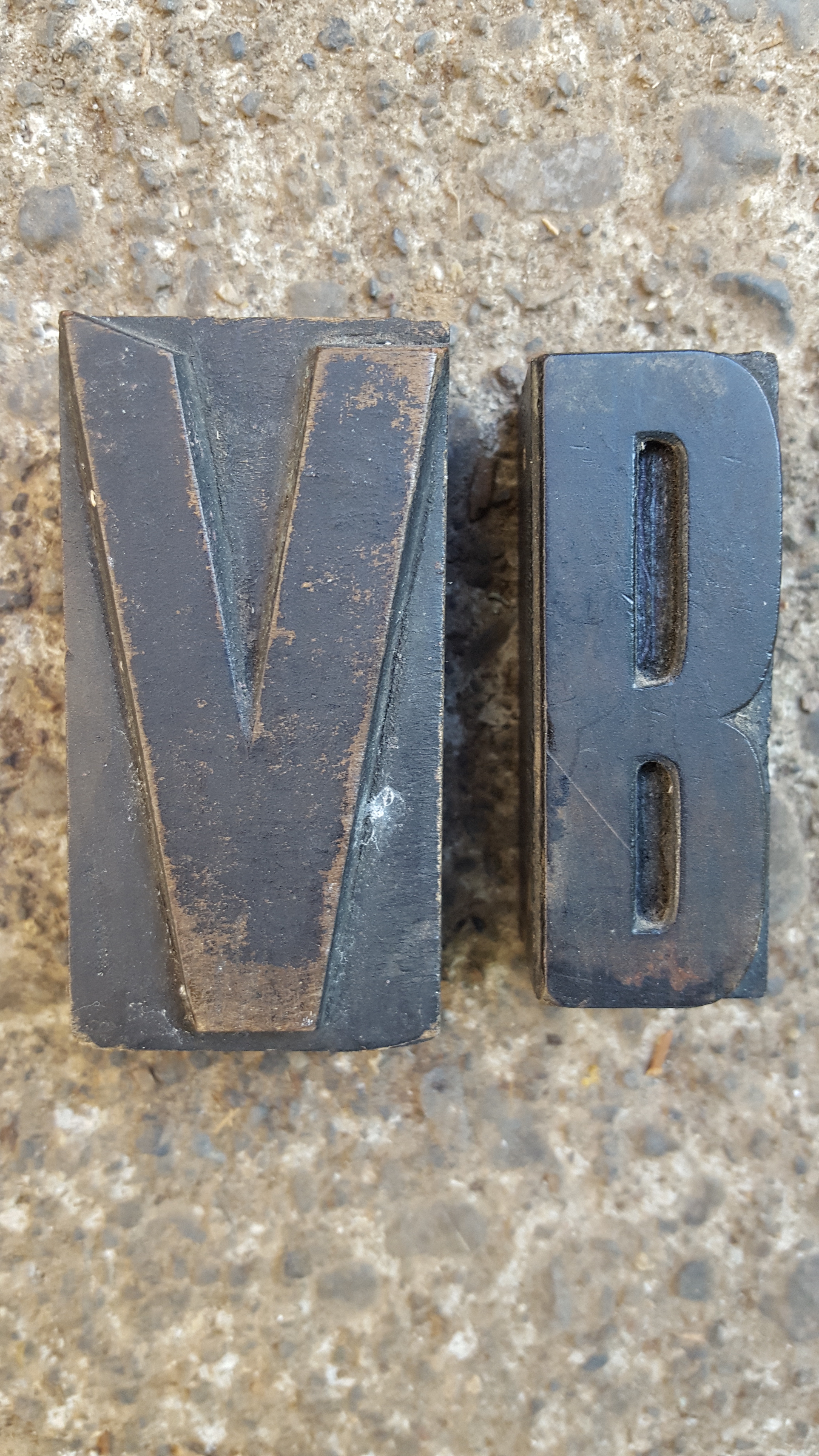 Virginia Bellis Brandabur